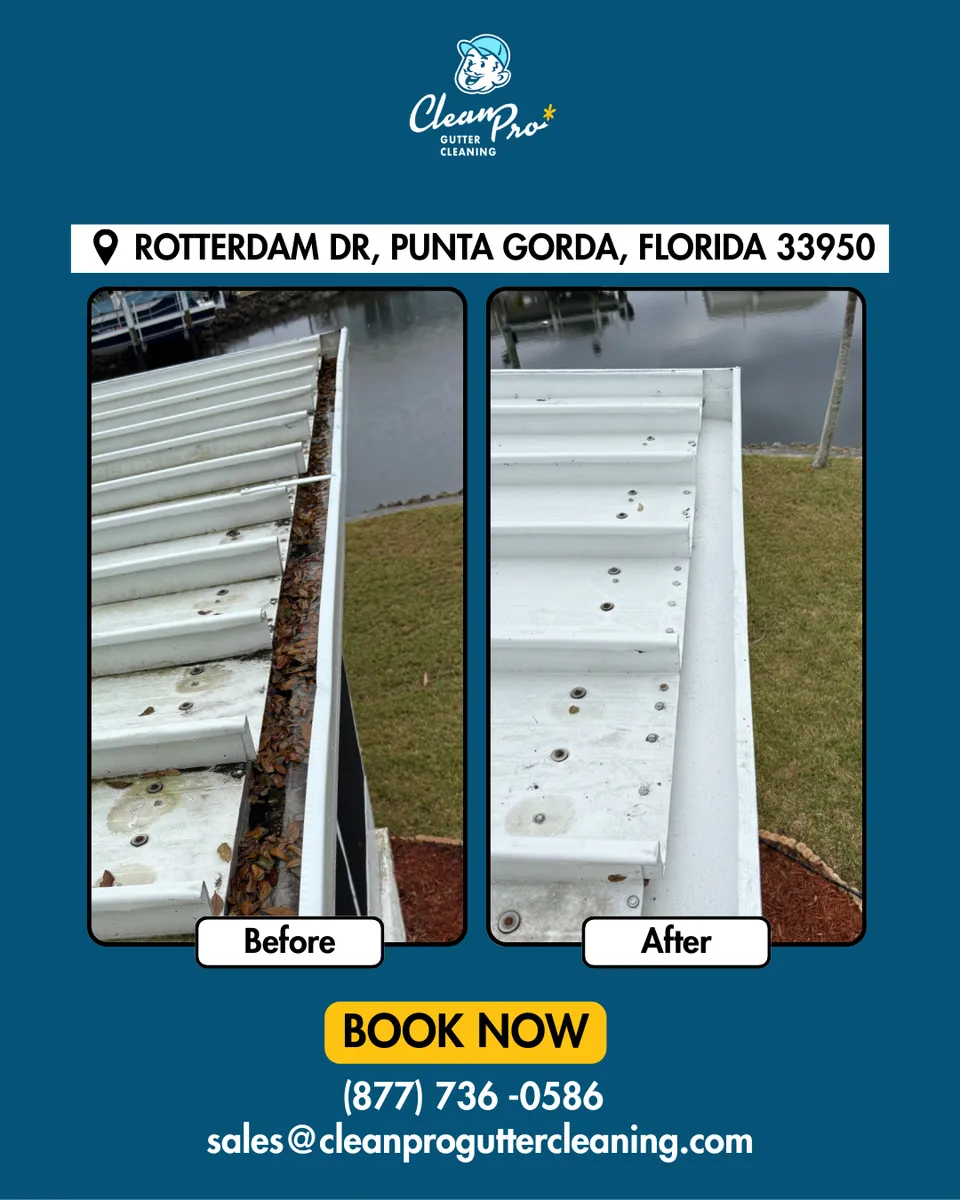 Before and after gutter cleaning in Atlanta, GA