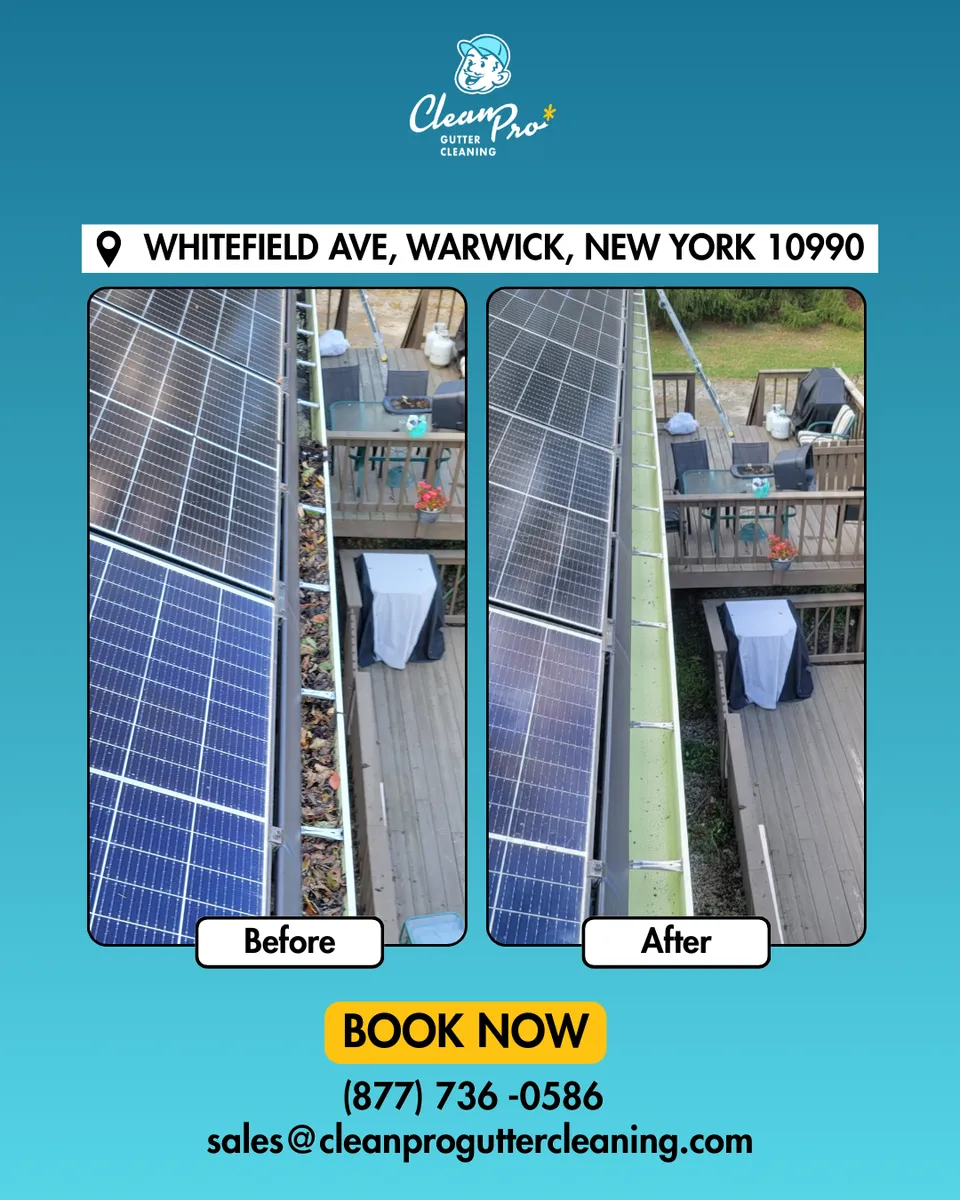 Before and after gutter cleaning in Warwick, NY