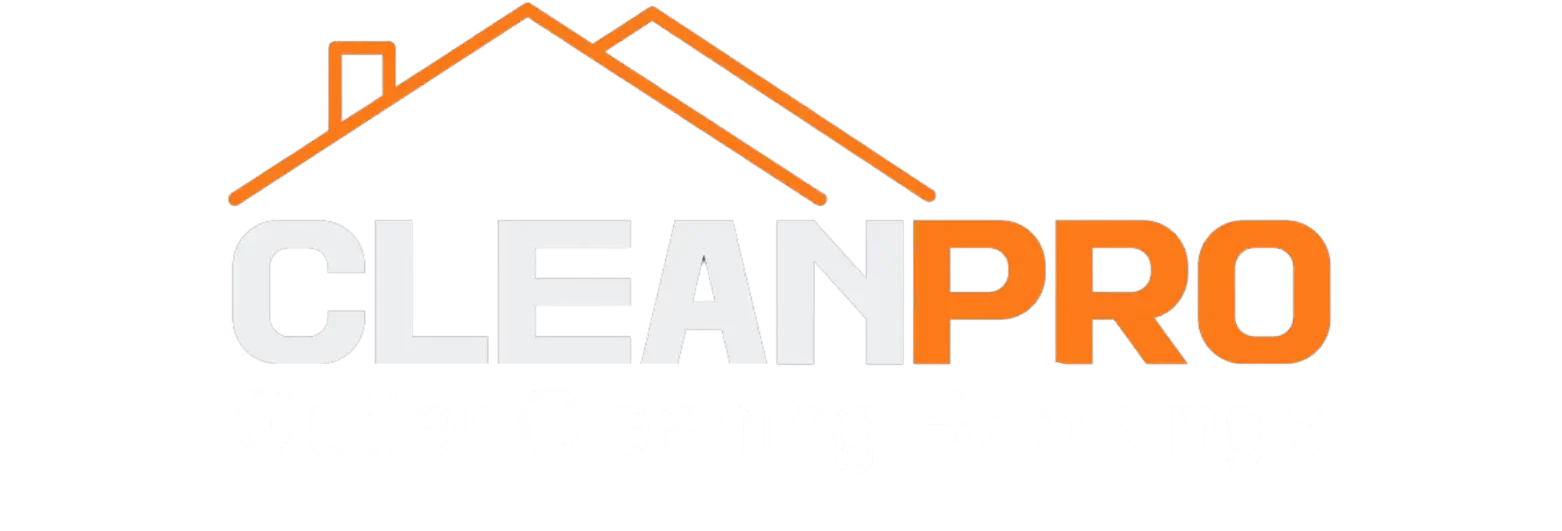 Clean Pro Gutter Cleaning